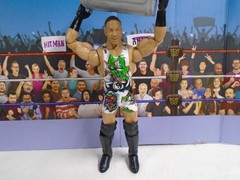 WWE Rob Van Dam From the Vault Elite Series 6 Figure 100% Complete Ringside RVD
