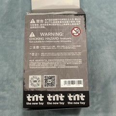 TNT SPACE Boy Rayan Urban Walk Retro Varsity Light Edition Blind Box Pendant USA