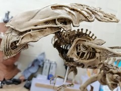 Extraterestrial Queen Skeletal 1/12 size “NECA Size”