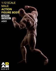 MUFF TOYS ADAM 1/12 Male Strong Muscle Doll 6” Comic Action Figure Body w/Head