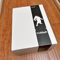 ThreeA WWR 1/6 Deep Comm Caesar 17″ Figure Ashley Wood 3A Bertie Powder 2011