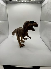 4.1 x 7.9 x 7.1 inch The Giganotosaurus