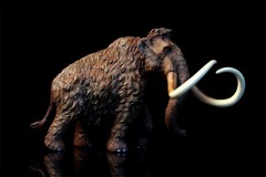 TNG Mammonteus Primigenius Model Elephant Animal Figure Toys Decor Xmas Gift