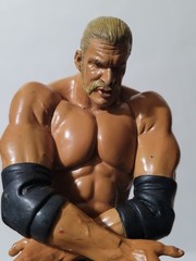 2007 Jakks WWE Unmatched Fury Triple H Platinum Edition Series 2 OOP