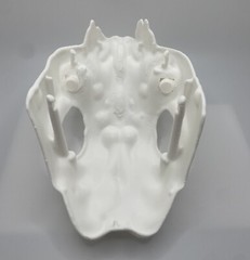 Vintage Kenner Star Wars POTF Ewok Battle Wagon Skull 3d Print Replacement part