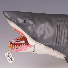 NECA 1975 The Game of Jaws 50th Anniversary Great White Shark 18″ Action Figure