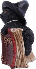 Nemesis Now Kitty’s Grimoire Cat Spell Book Figurine 8.2cm, Resin, Red, Witch’s