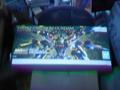 Bandai MG Strike Freedom Gundam Z.A.F.T. Mobile Suit ZGMF-X20A Extreme Metallic