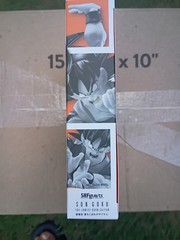 SH Figuarts Dragon Ball Z Son Goku The Lowest Born Saiyan Bandai