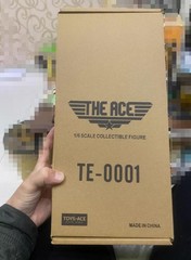 TOYS ACE Top Gun Ace Pilot 12in Action Figure Collectible Doll Model TE-0001