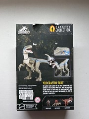 DAMAGED BOX Jurassic World Hammond Collection Blue Velociraptor Figure