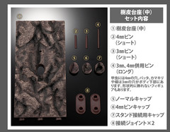 The Diversity of Life on Earth Advance Beetle 04 w/ stands Online version Bandai