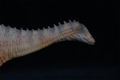 PNSO Lingwulong 63 Model Jurassic Dinosaur Animal Collections Figure Toys Gift