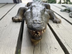 1 Large Realistic Lifelike Foam Alligator 44″ And 1 Soft Rubber Alligator 26″
