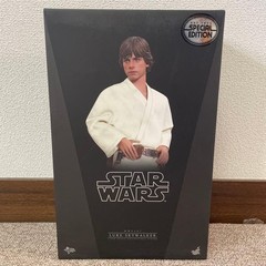 Star Wars A New Hope Luke Skywalker Mark Hamill 1/6 Hot Toys