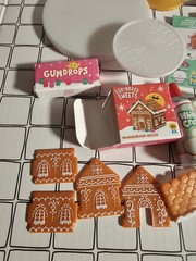 Christmas 2023 GINGERBREAD HOUSE HTF No Resin MGA Miniverse Make It Mini