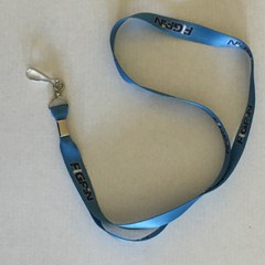 NEW 2024 D23 Expo Figpin Lanyard