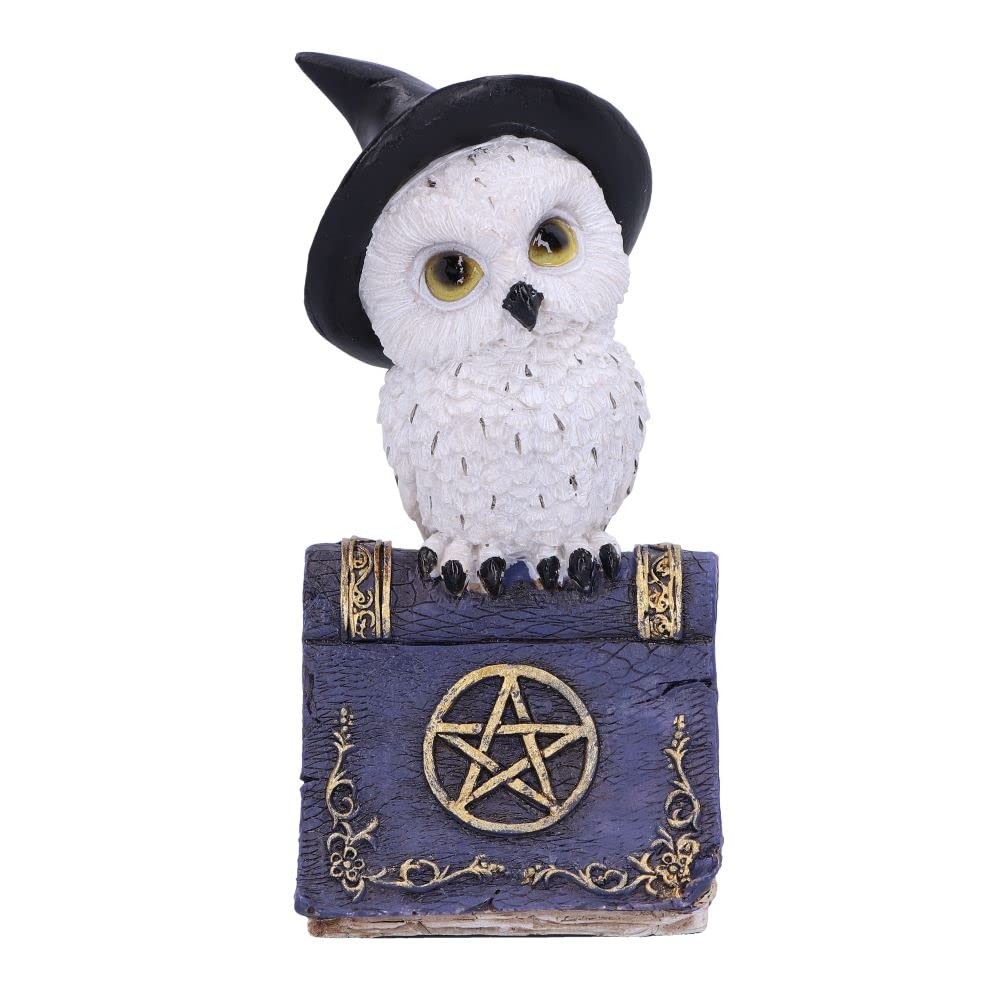 Nemesis Now Avian Spell Owl Figurine Purple 12.5cm, Resin, Blue Avian Spell Figu