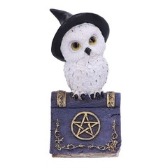 Nemesis Now Avian Spell Owl Figurine Purple 12.5cm, Resin, Blue Avian Spell Figu