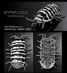 The Diversity of Life on Earth Advance Pill Bug Action Figure Bandai Capsule Toy