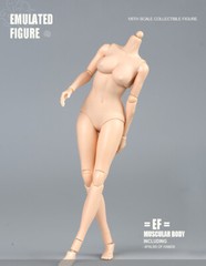 1/6 Female Pale Skin Mid Breast Chest Super Flexible Body For 12″Figure Doll