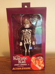 NECA Karate Kid Lot. All Valley, Daniel LaRusso, Johnny Lawrence, Mr. Miyagi