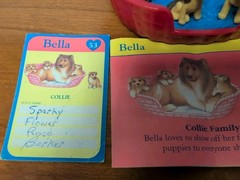 Vintage Puppy In My Pocket Collie Family Dog Bella Mom Puppies Birth Certificate