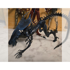Neca alien queen lot. Incudes alien queen, and lot of predators and aliens
