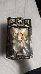 WWE Action Figure