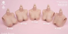 Worldbox 1:6 E cup Light wheat color Breast Kits Cover Fit 12” Female PH Body