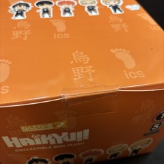 EAKI Haikyu!! Mascot Series Plush Keychains Blind Box NEW SEALED