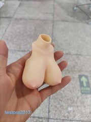 1:6 Pale Skin Normal Breast Bust Cover Model F 12” Female TBL PH Figure Body
