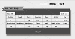 1/6 LDDOLL 22S Seamless Silicone Body 12″Female Figure Fit OB AZ CG Head Doll