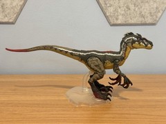 Jurassic World Amber Collection JP3 Male Velociraptor 1:12 Scale Complete Loose