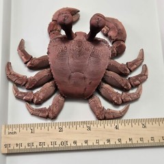 Ghost Crab Toy Articulated 3D Printed Handmade Novelty Varying Colors