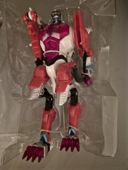 Transformers TFCC Botcon 2002 Universe Catscan Exclusive