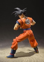 S.H.Figuarts Dragon Ball Son Goku – Saiyan Raised on Earth – Approx. 140mm AB…