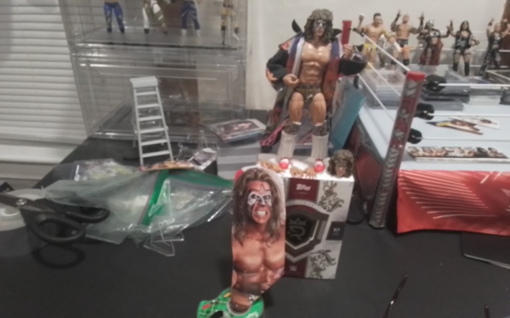 WWE Mattel Series Ultimate Series #1 The Ultimate Warrior Mint & Complete NICE!!