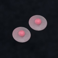 1/6 Breast Chest Patches Nipple Silicone Accessories For 12” PH TBL Figure Body