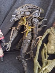 Neca Aliens Loose Action Figure Lot Accessories Predator XENOMORPH Eggs