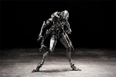 PSL SEXYiCE Vermin: Artificial Evolution B006 Ant 1/12 from JAPAN PRE ORDER
