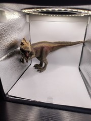 Schleich Giganotosaurus Dinosaur Movable Jaw Toy Action Figure D73527 10”