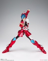 BANDAI SAINT CLOTH MYTH SAINT SEIYA STEEL SAINT SKY CLOTH SHO REVIVAL VER. 180mm
