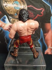 Jake The Snake Roberts FIGURE HASBRO CUSTOM WWF WWE LOT WRESTLING