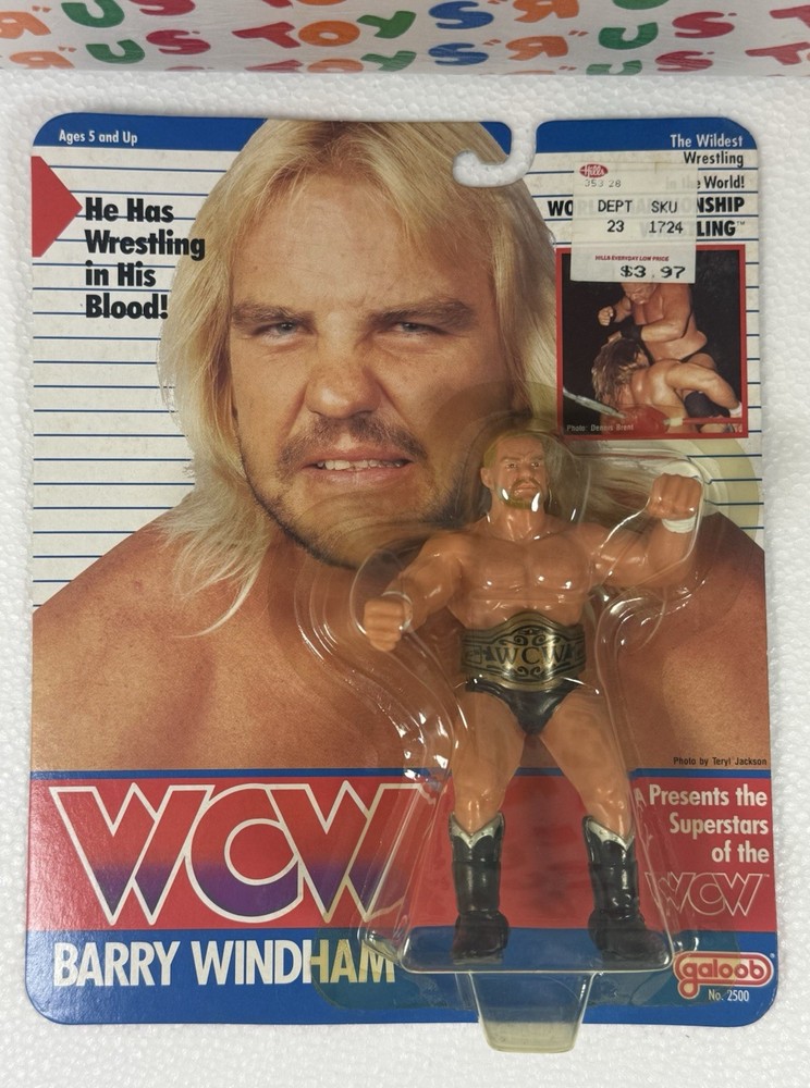 WCW Galoob MOC Barry Windham NM++ Titan Vintage WWF WWE LJN Hasbro