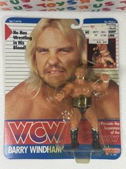 WCW Galoob MOC Barry Windham NM++ Titan Vintage WWF WWE LJN Hasbro