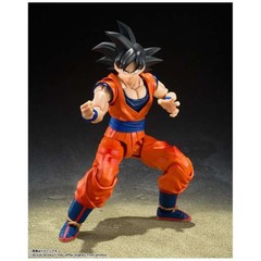 S.H.Figuarts Dragon Ball Z Son Goku (The Kind – Hearted Saiyan ) Japan NEW