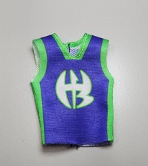 Mattel WWE Jeff Hardy 2-Pack Exclusive Blue Green Shirt