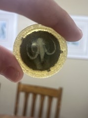 Vintage 1993 Power Rangers Morpher Replacement Coins Mastadon Triceratops Bandai