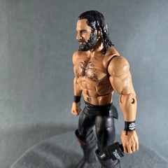 WWE Elite Collection Series Top Talent Seth Rolins Wrestling Action Figure